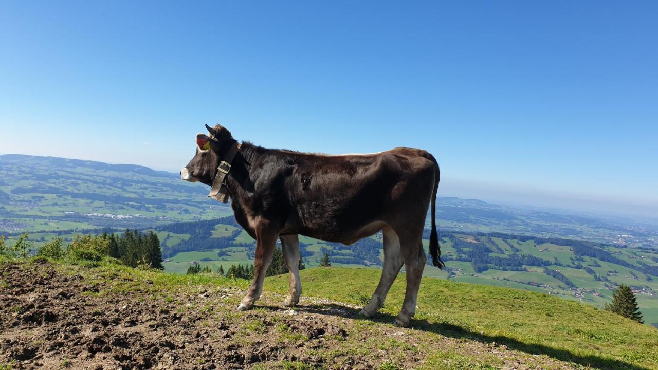 Allgaeu Bergluft Weitnau Ngoại thất bức ảnh