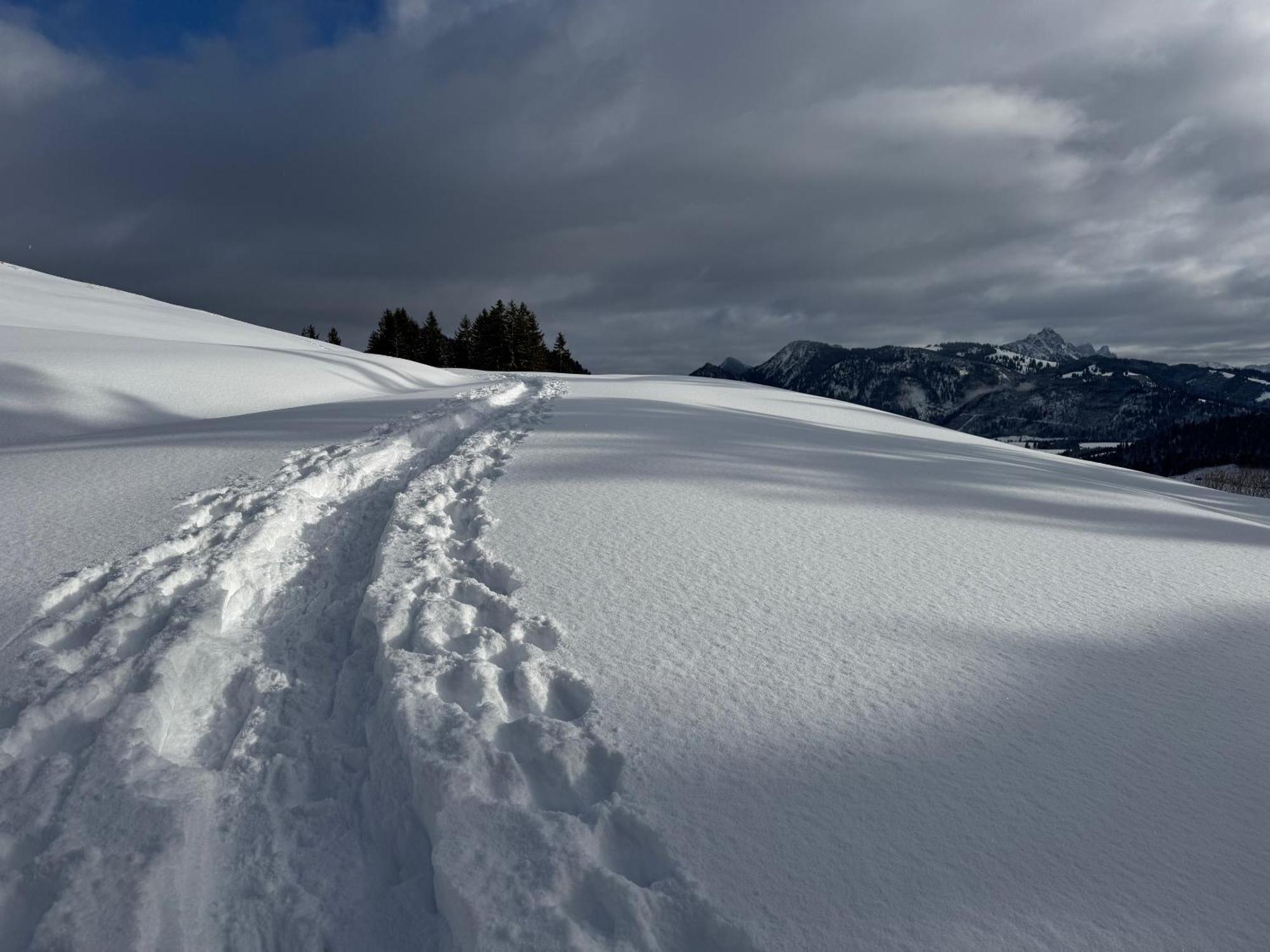 Allgaeu Bergluft Weitnau Ngoại thất bức ảnh